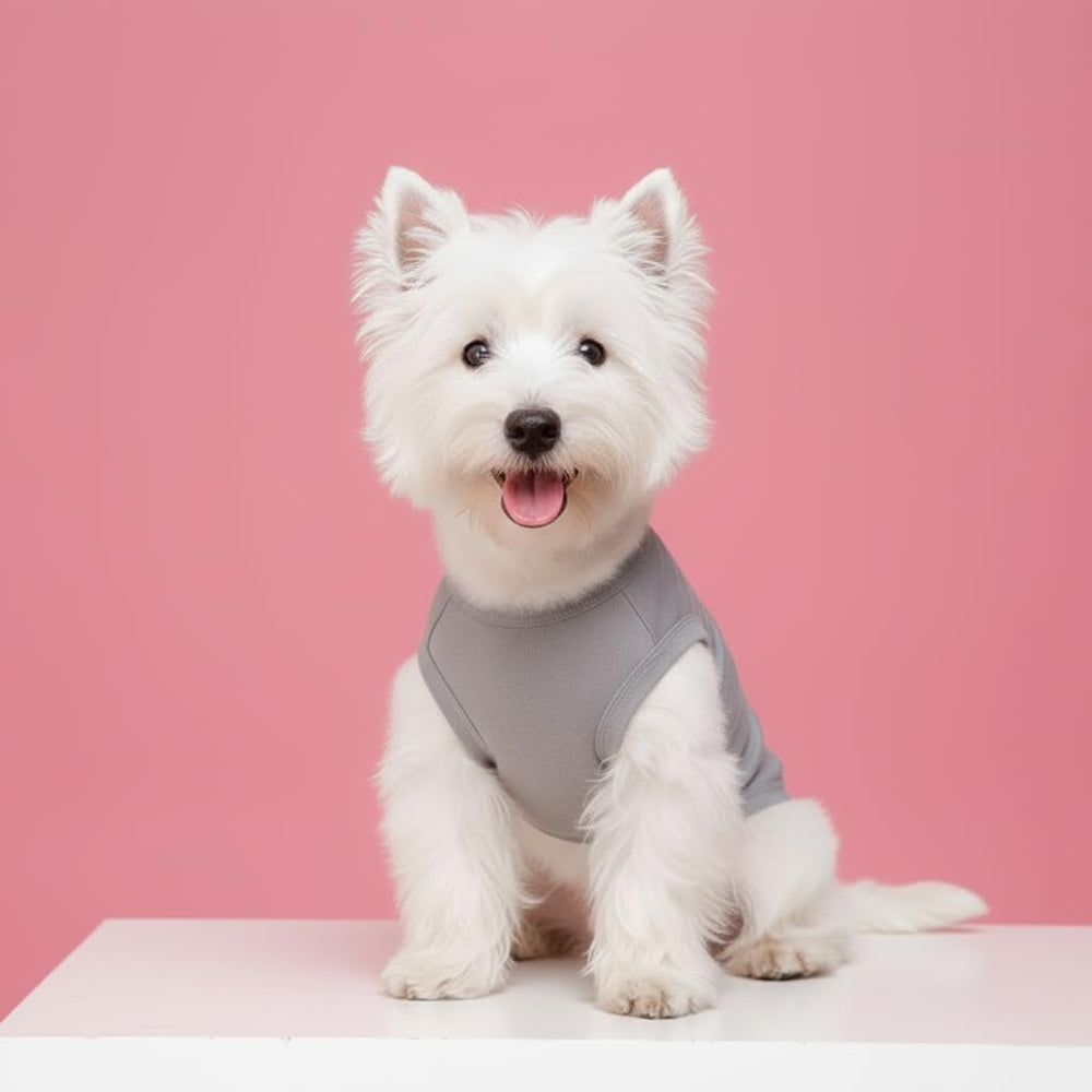 Chol&Vivi dog t-shirt color variation demonstrates four color options.