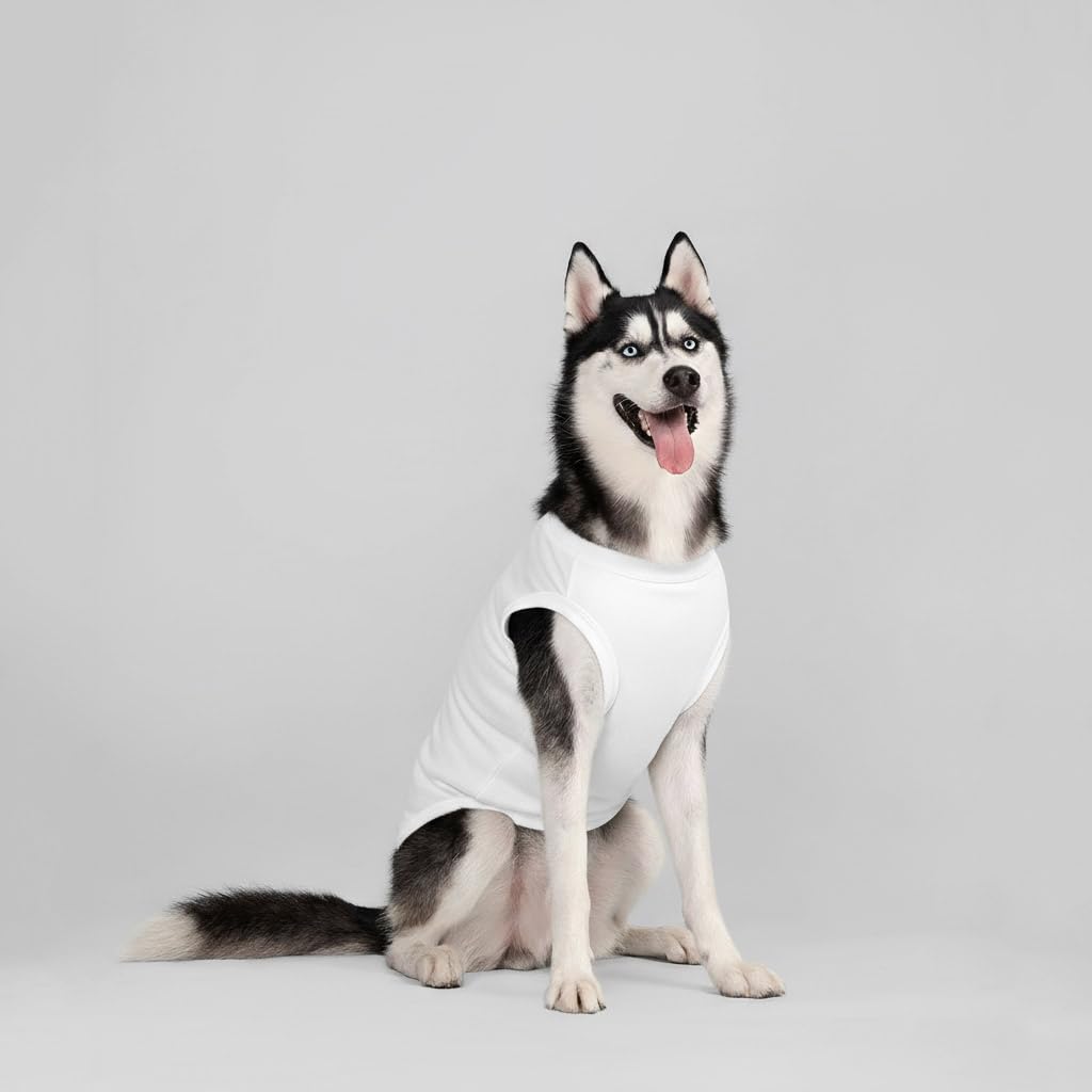Chol&Vivi dog t-shirt size chart image explains accurate measurement guidance.