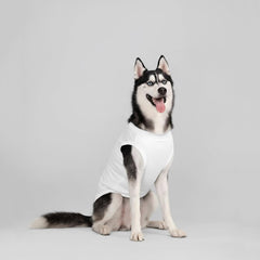 Chol&Vivi dog t-shirt size chart image explains accurate measurement guidance.
