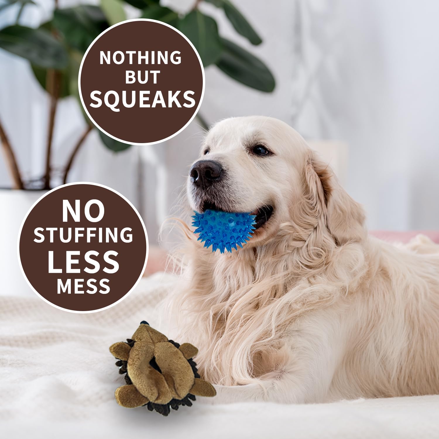 Chongqile Hedgehog Toy Squeaker Abdomen close-up highlights built-in ball and interactive sound