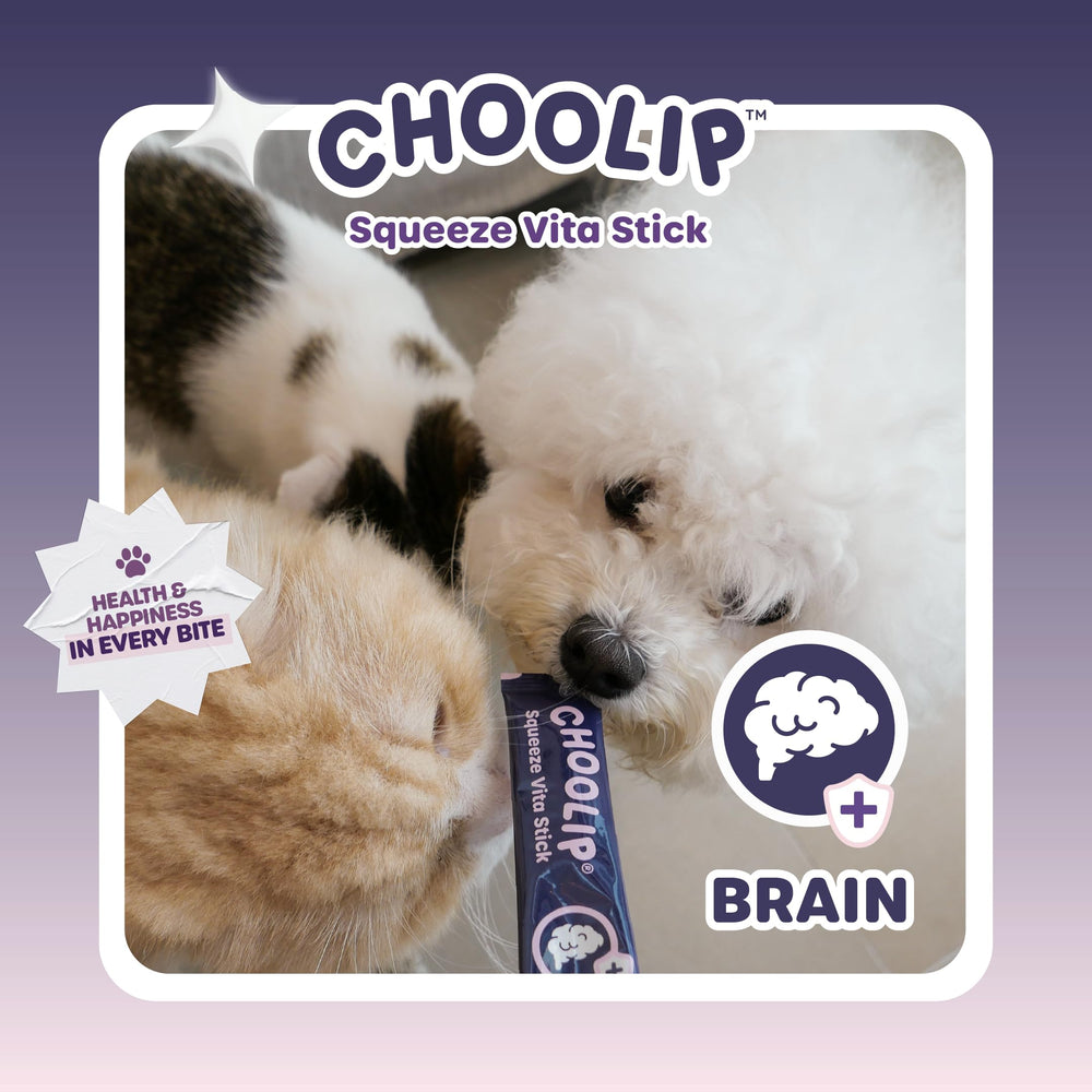 Choolip Squeeze Vita Stick brain health ingredients like DHA and CoQ10