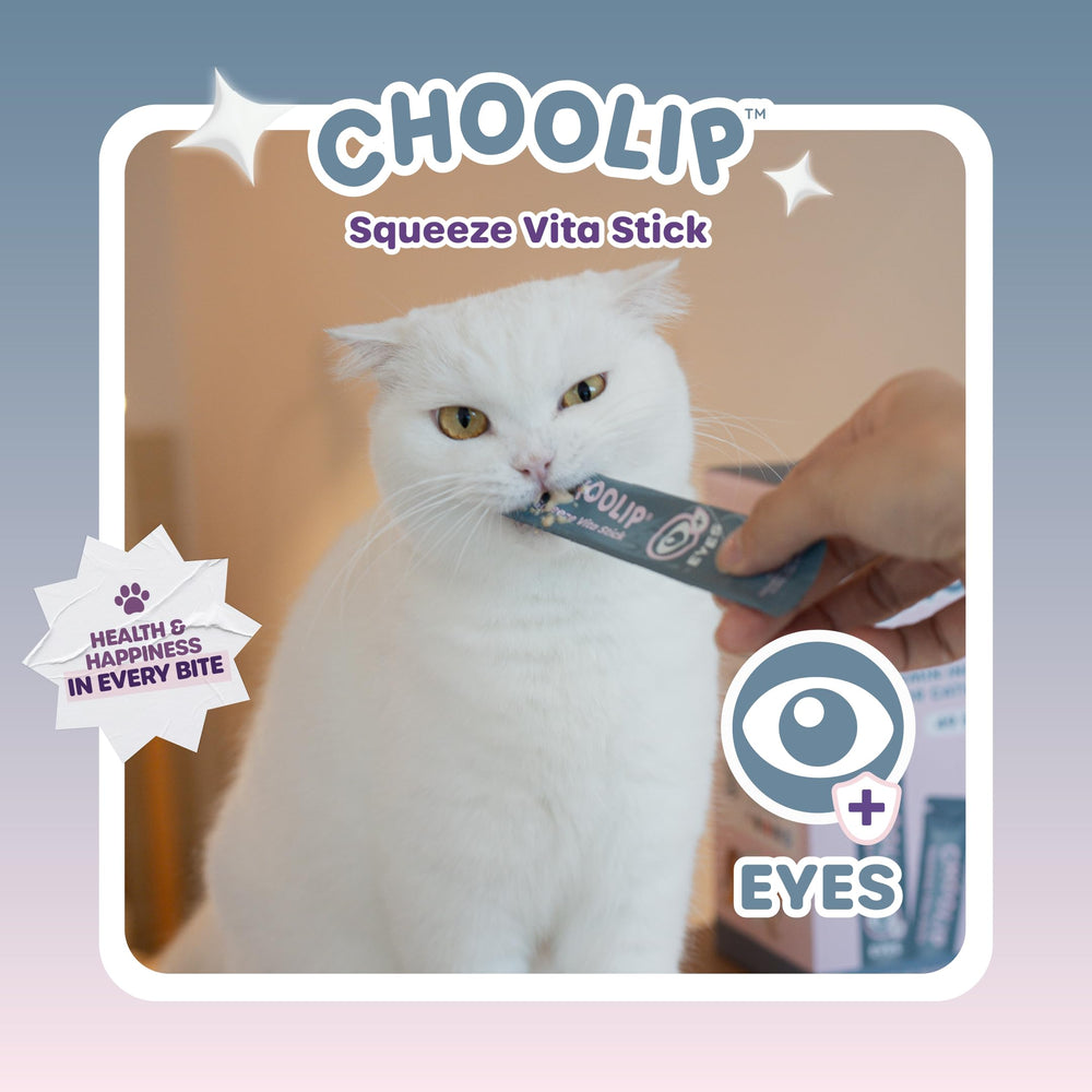 Choolip Squeeze Vita Stick cat dog use demonstrates versatile lickable treat.