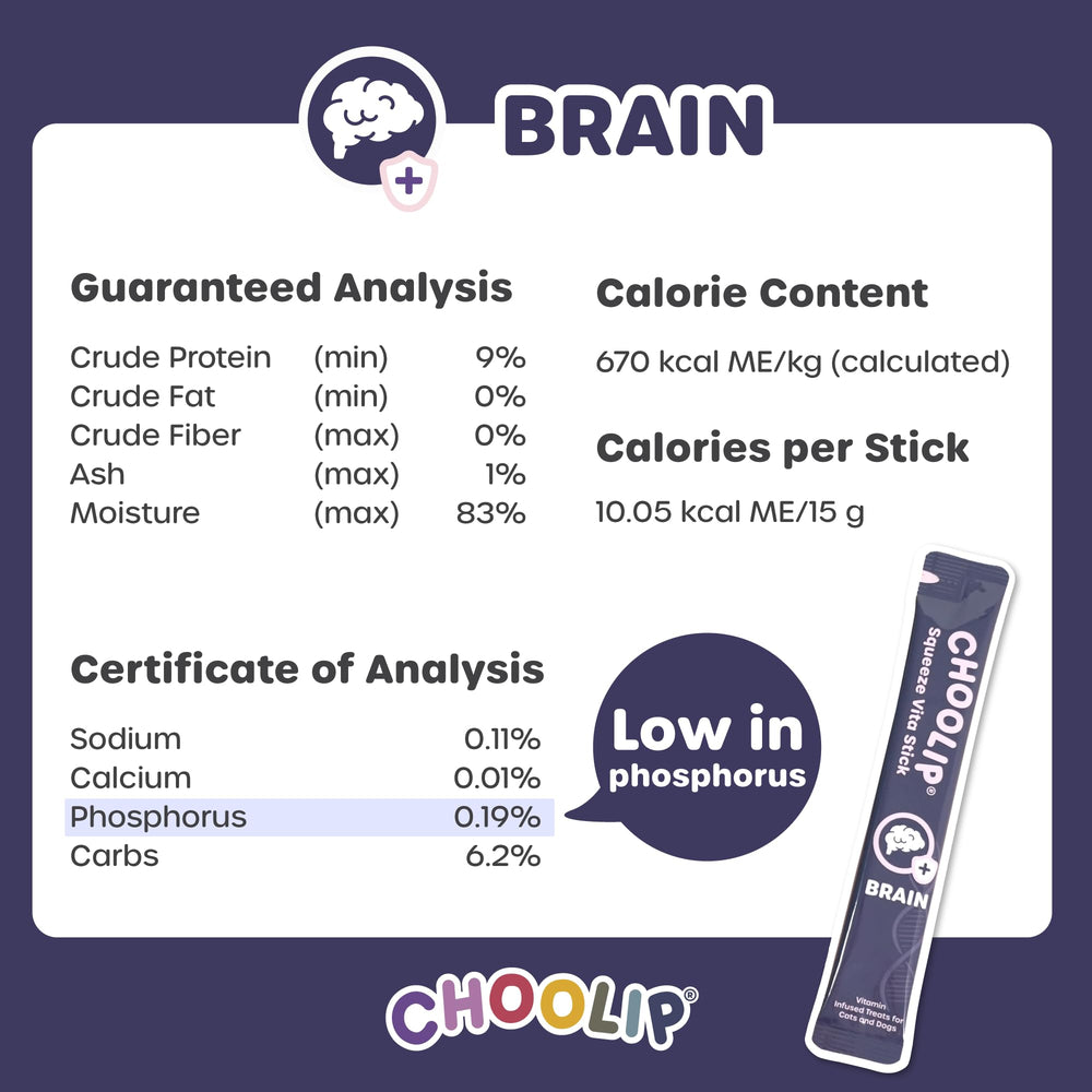 Choolip Squeeze Vita Stick coq10 vitamin-e visual highlighting cognitive nutrition