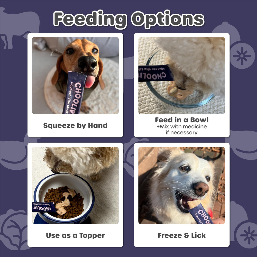 Choolip Squeeze Vita Stick shown for households with cat and dog enjoying a tasty treat