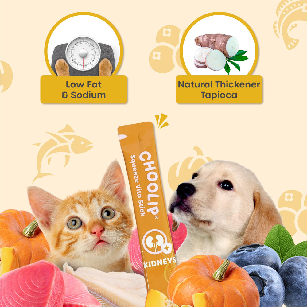 Choolip Squeeze Vita Stick easy-feed method demonstrates convenient feeding.