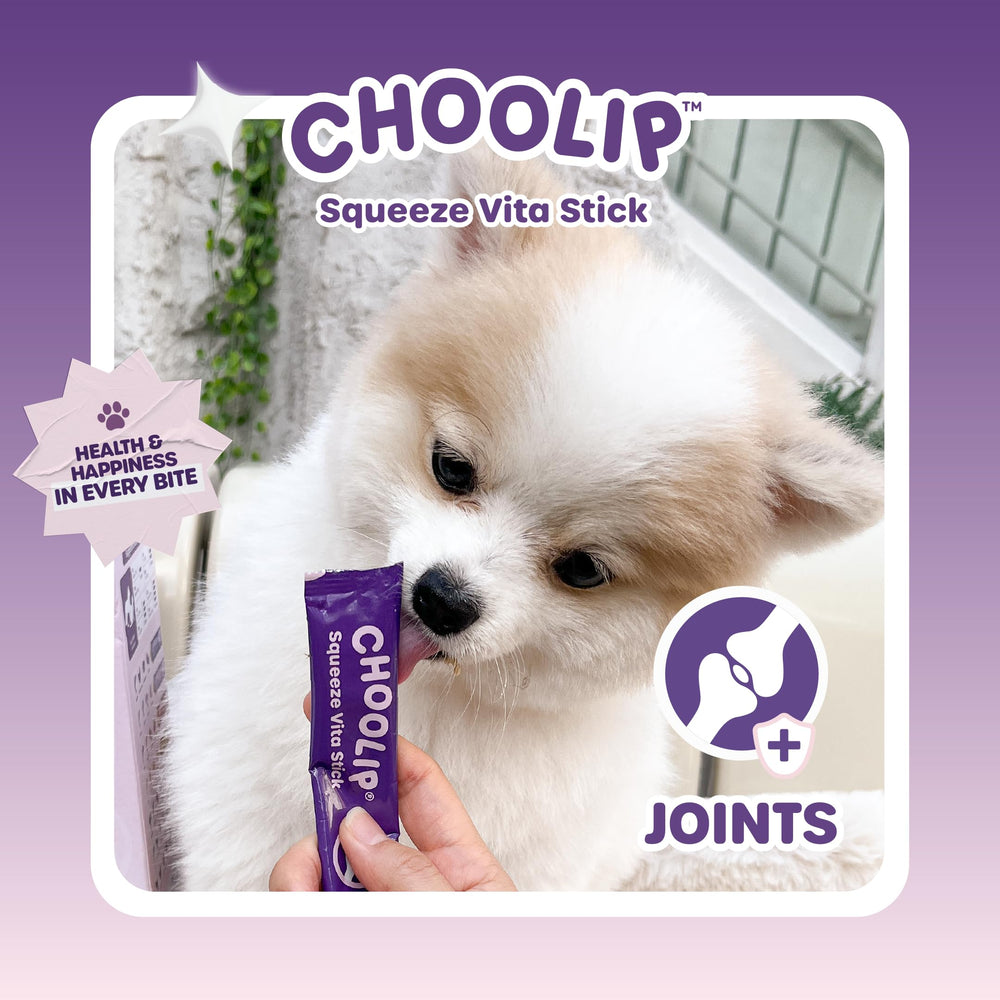 Choolip Squeeze Vita Stick for older pets enables gentle feeding and hydration