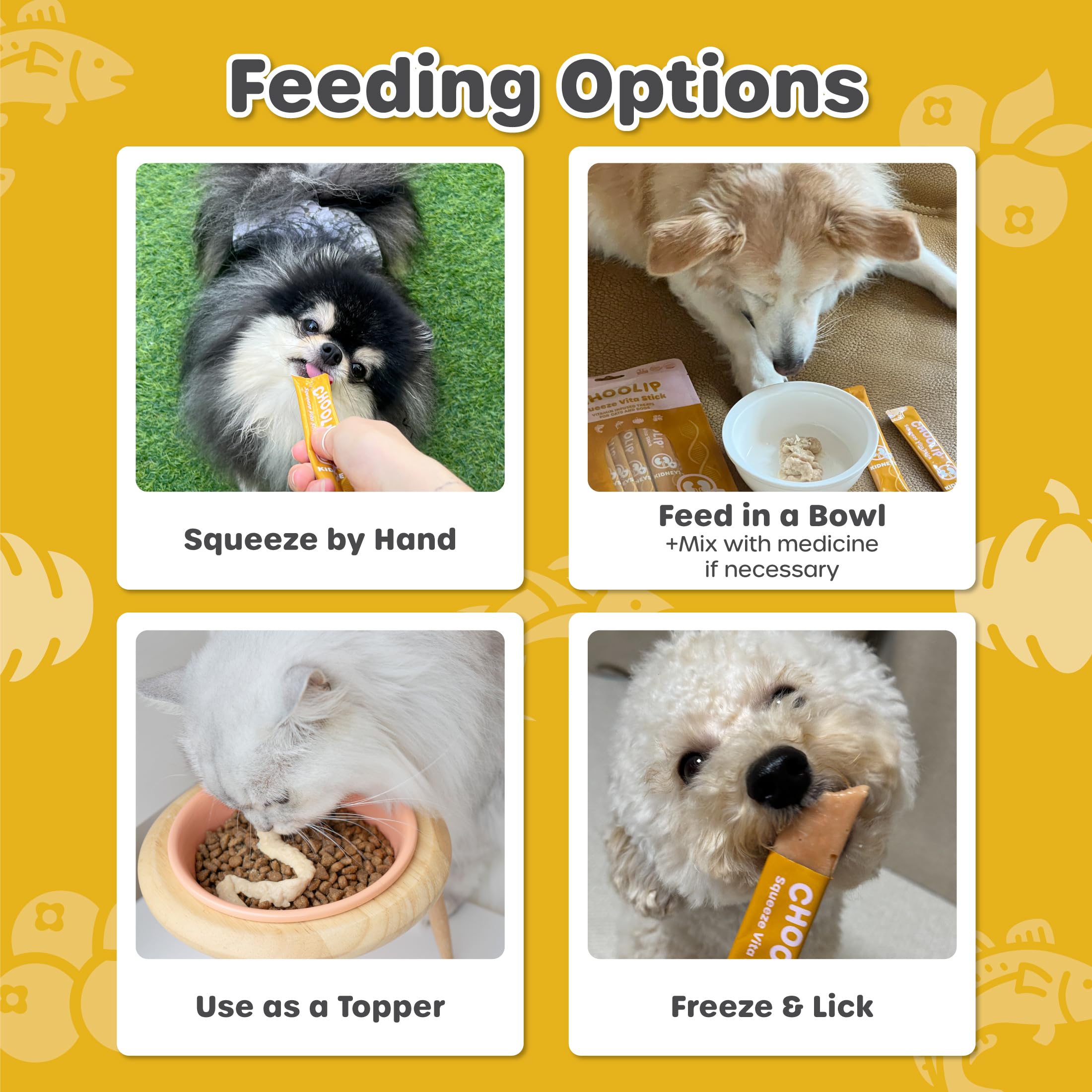 Choolip Squeeze Vita Stick freeze option shows a refreshing hydration snack.