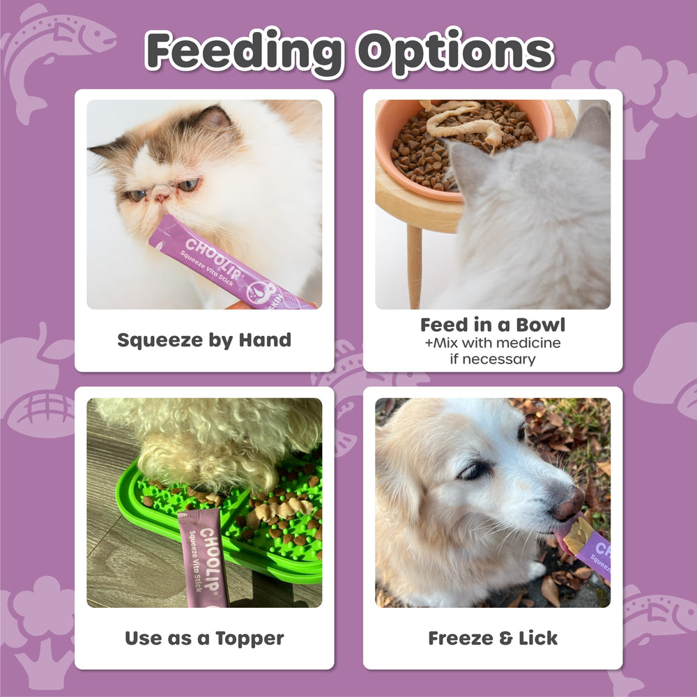 Choolip Squeeze Vita Stick frozen treat option ready to serve.