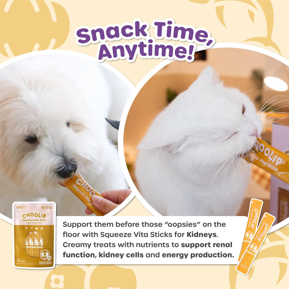 Choolip Squeeze Vita Stick hydrates pets on the go with a convenient squeeze.