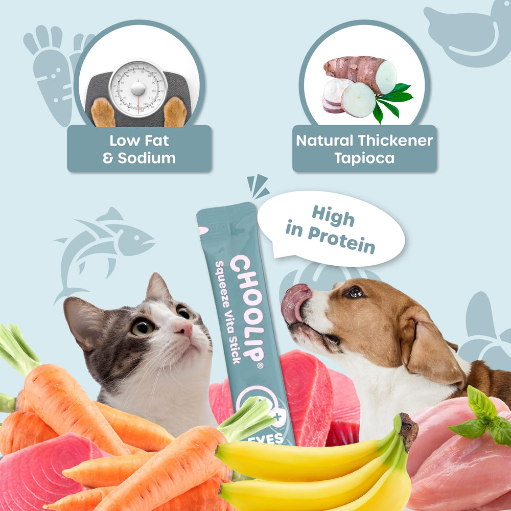 Choolip Squeeze Vita Stick indoor-pets living-room scene highlights convenient licking