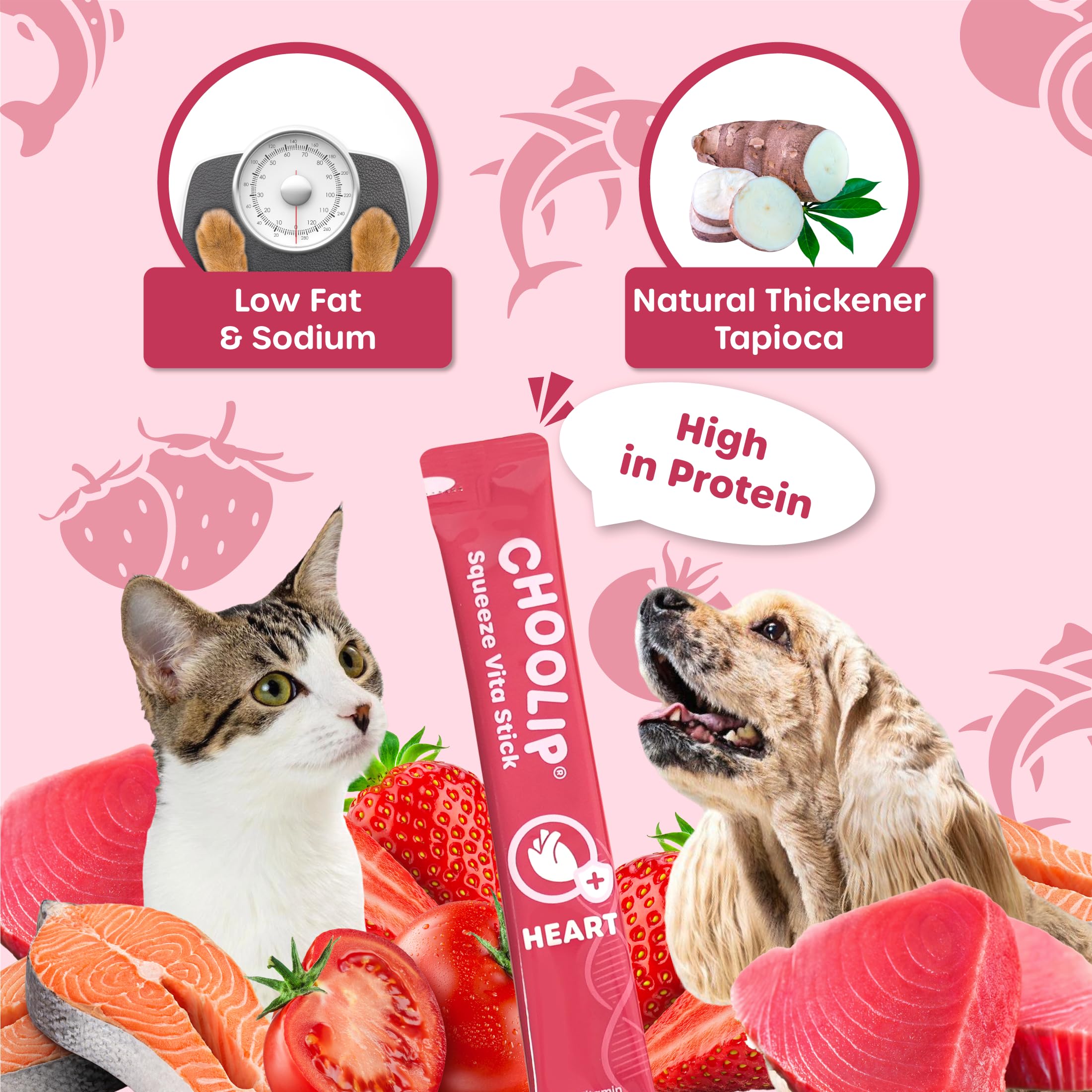 Choolip Squeeze Vita Stick ingredients graphic highlights grain-free formula and CoQ10