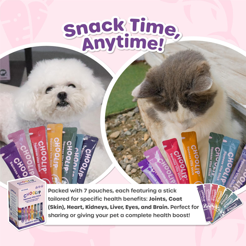 Choolip Squeeze Vita Stick lick mat serving enhances bonding.