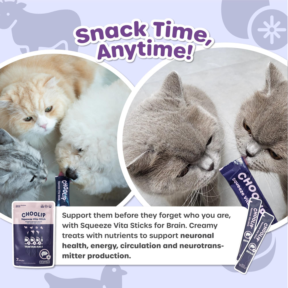 Choolip Squeeze Vita Stick delighted pets after tasting