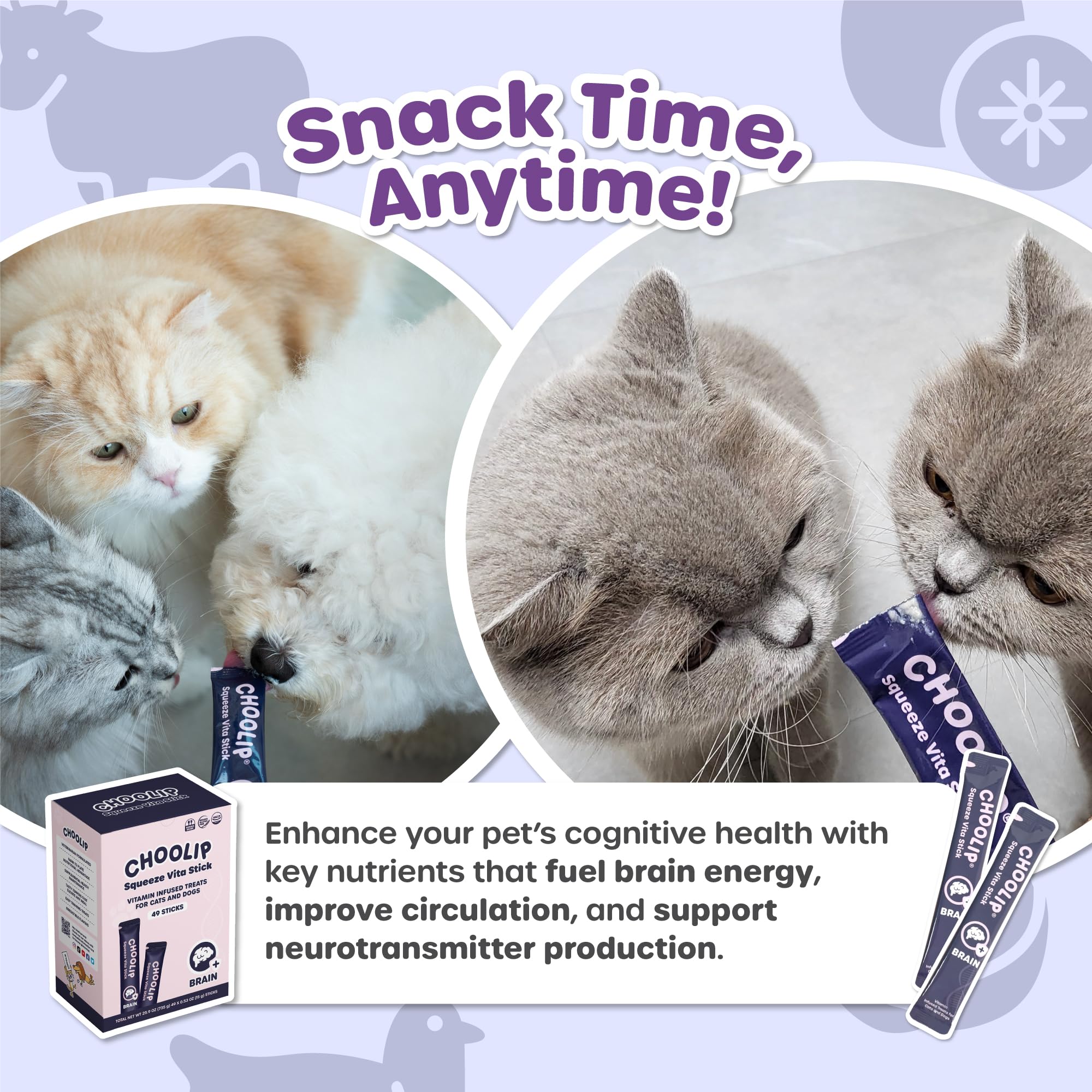 Choolip Squeeze Vita Stick soft texture close-up enhances lickable feeding