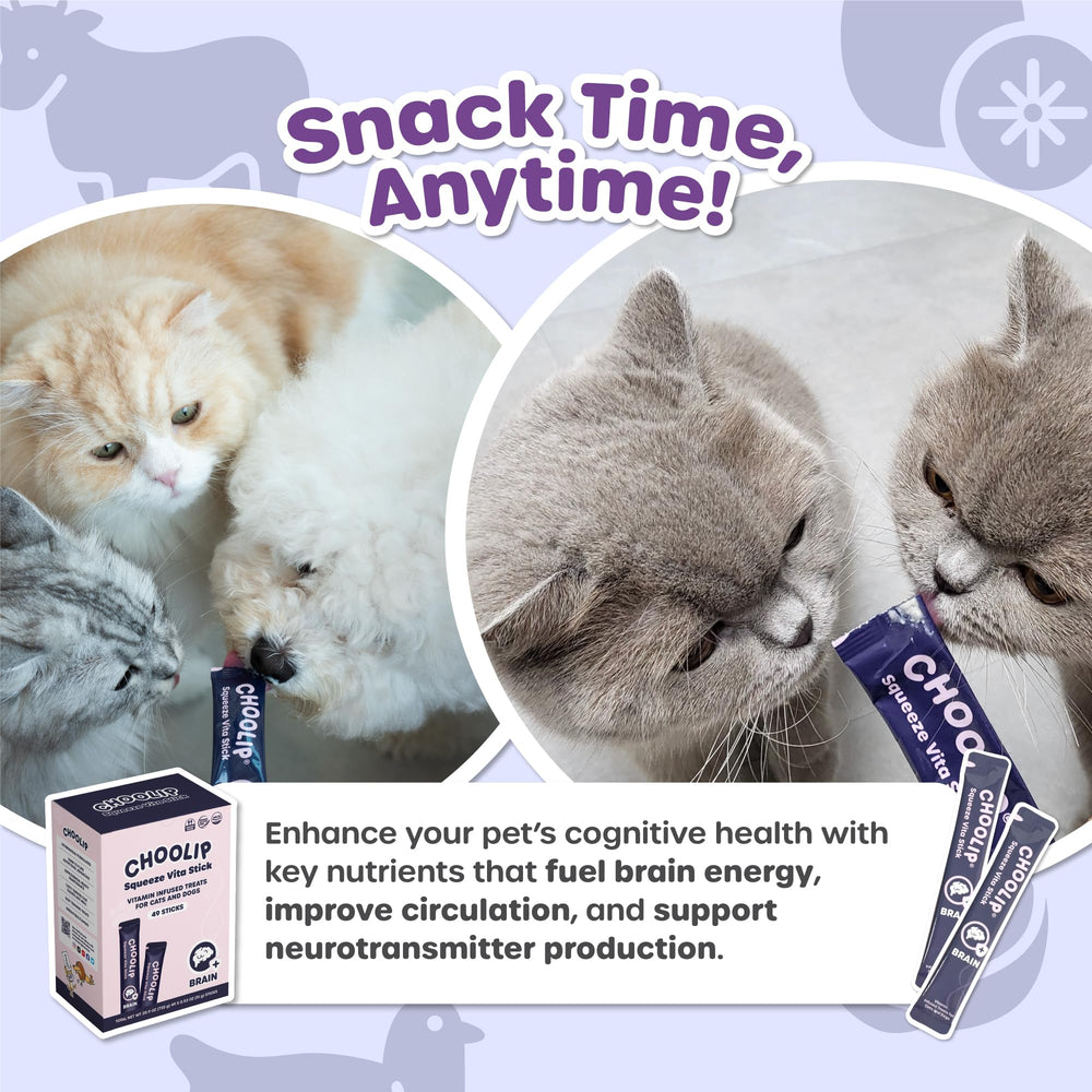 Choolip Squeeze Vita Stick soft texture close-up enhances lickable feeding