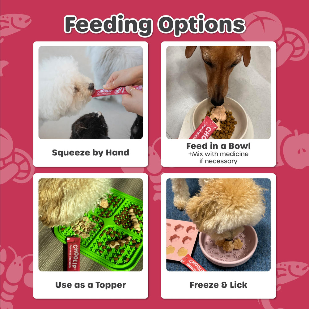Choolip Squeeze Vita Stick friendly for picky eaters and multi-pet homes.