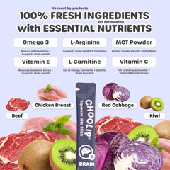 Choolip Squeeze Vita Stick tuna-chicken purée closeup showing protein-rich base