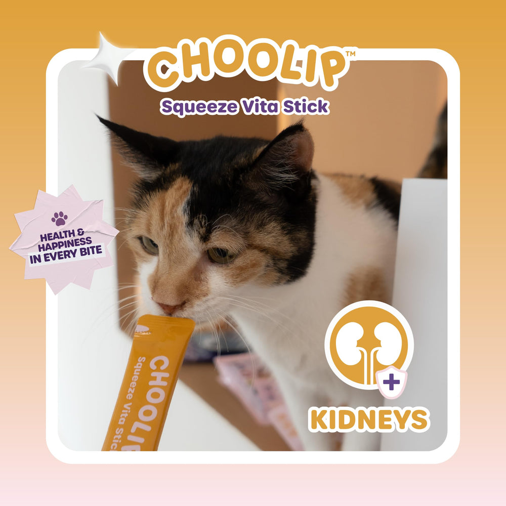 Choolip Squeeze Vita Stick vet-formulated claim with Dr. Eric DVM context.