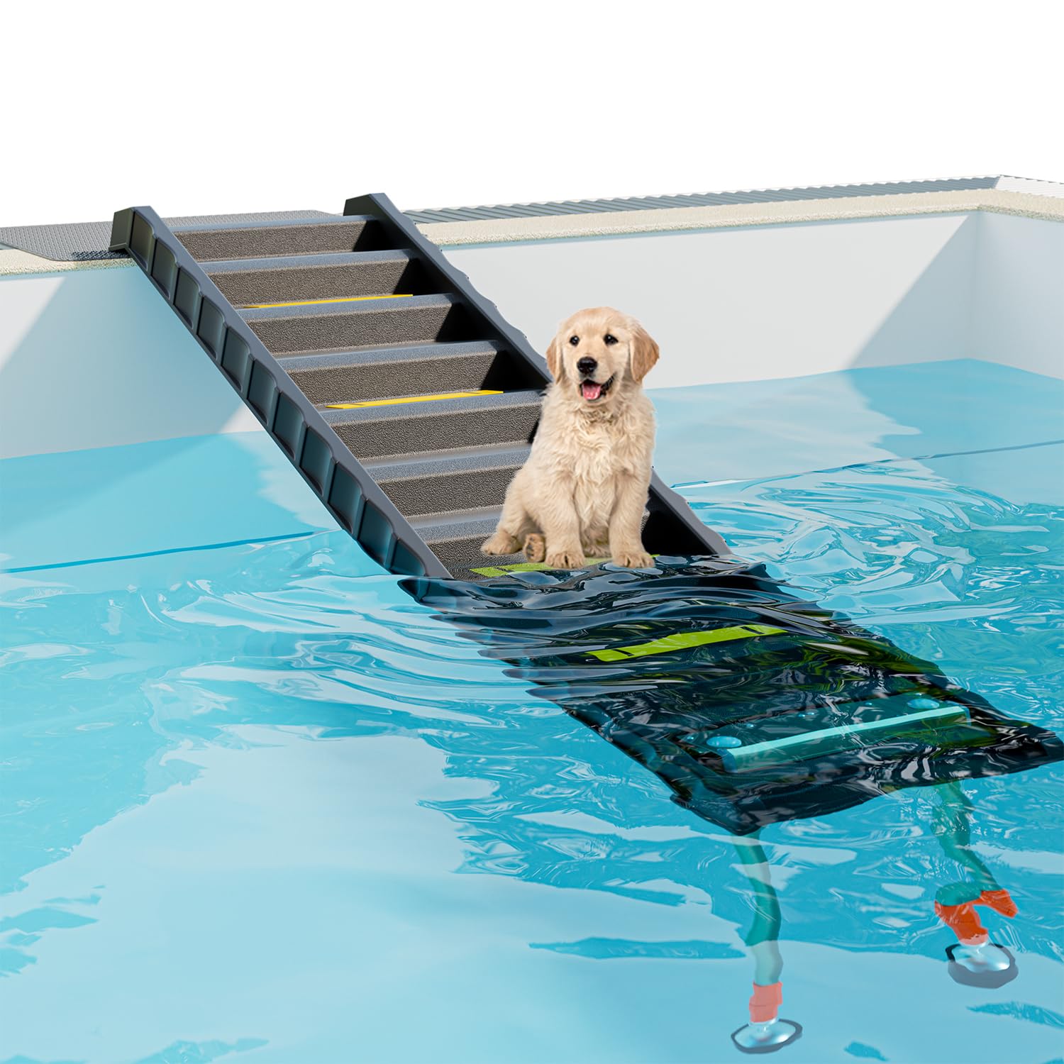 ChooseU foldable dog pool ramp with 33-inch legs for stable pool entry