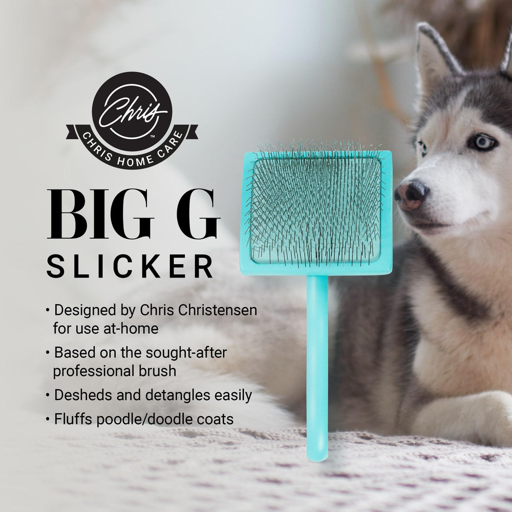 Big G Slicker teal ergonomic handle promotes comfortable brushing sessions.