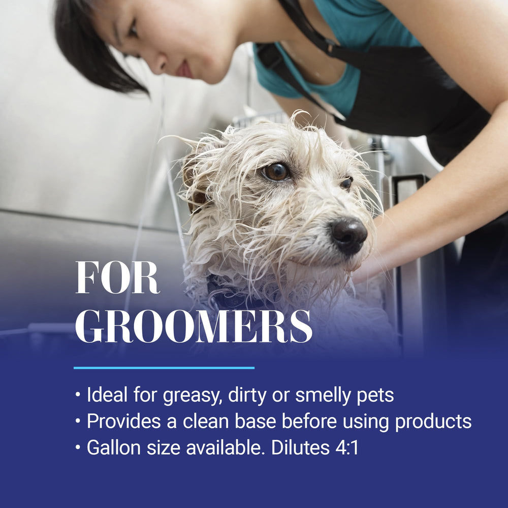 Wet dog during shampooing with Clean Start highlights easy rinse and odor removal