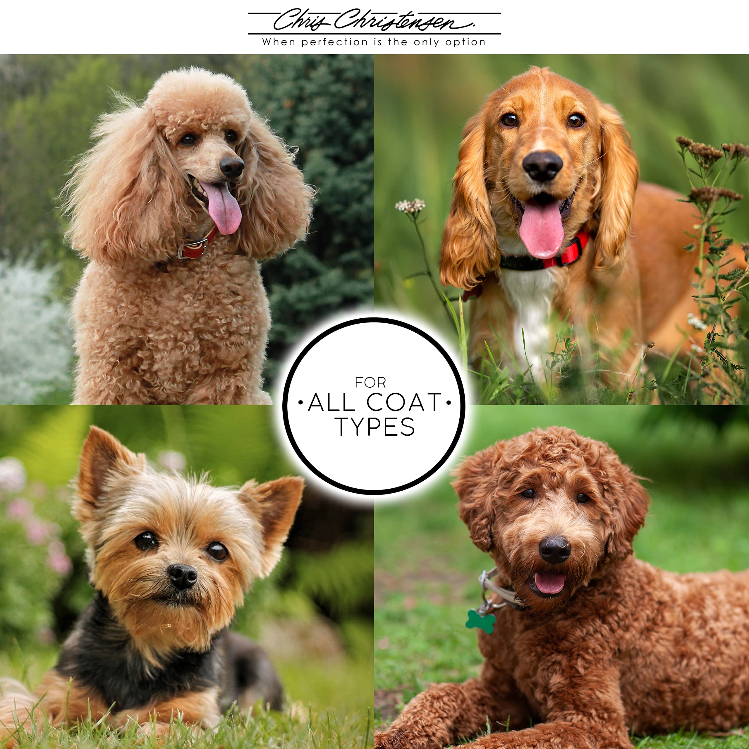 Chris Christensen Mark VI curved slicker brush German-made beech wood design for durability