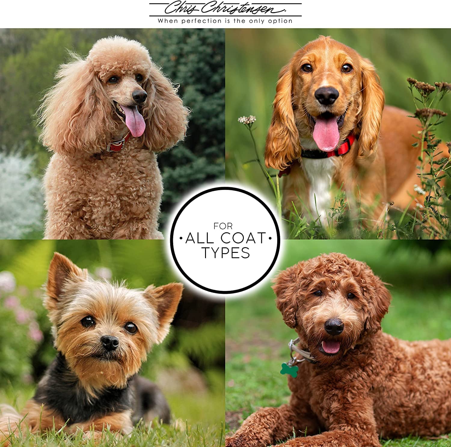 Chris Christensen A5X Mark X Slicker Tiny Head glide across fur reduces snags and tangles.
