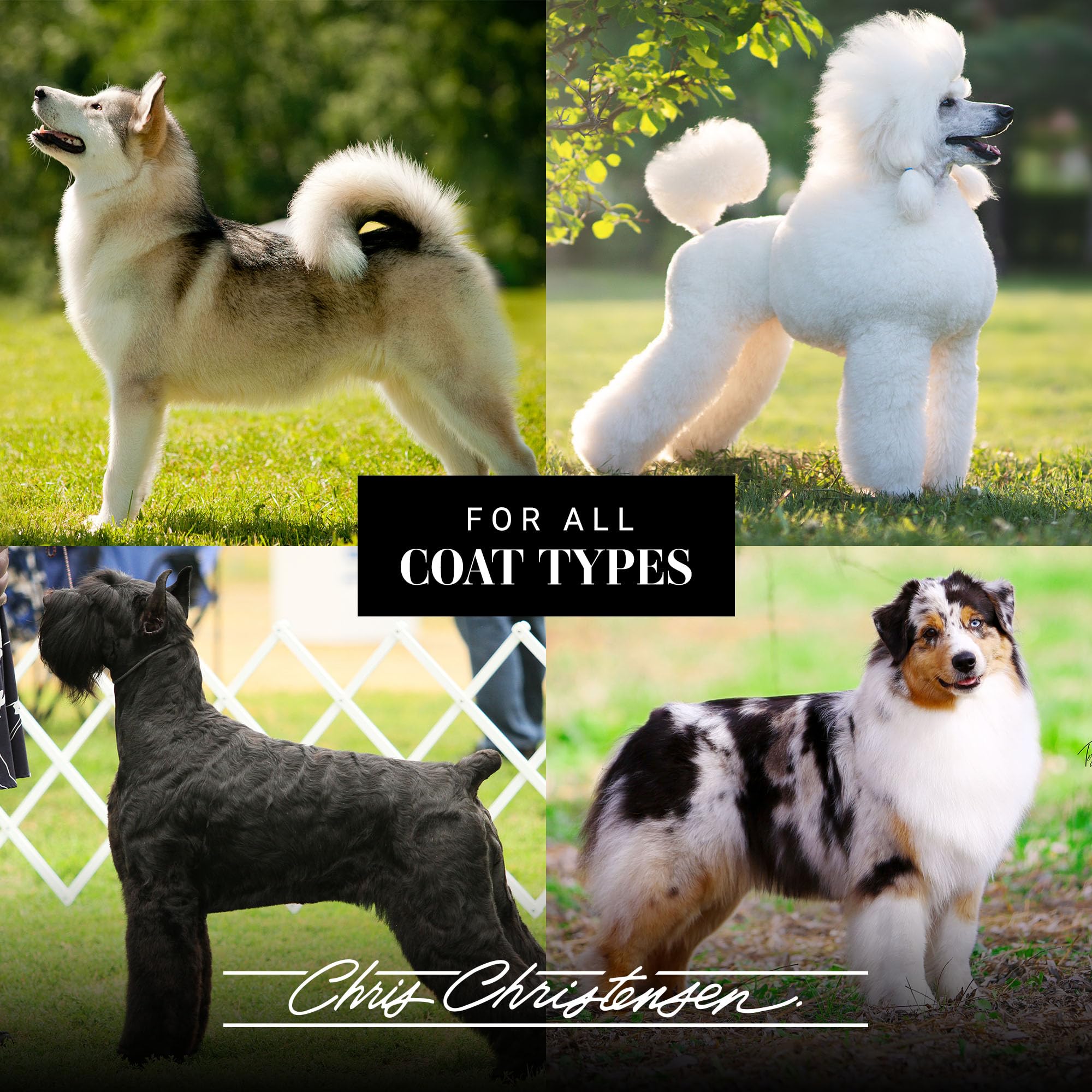 Chris Christensen Spectrum One packaging highlights coarse coat care