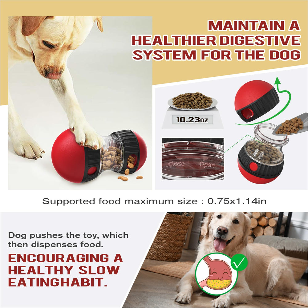 Chronanagese dog-enjoying-entertaining-playtime — motivates active, focused play sessions