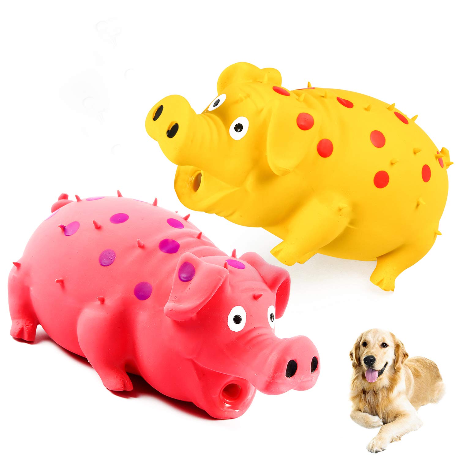 ChubbyPiggies two pack squeaky pig toy close-up highlighting oinking sound for interactive play