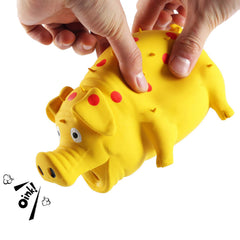 ChubbyPiggies toy close-up emphasizes safe latex material and gentle chew for healthy gums