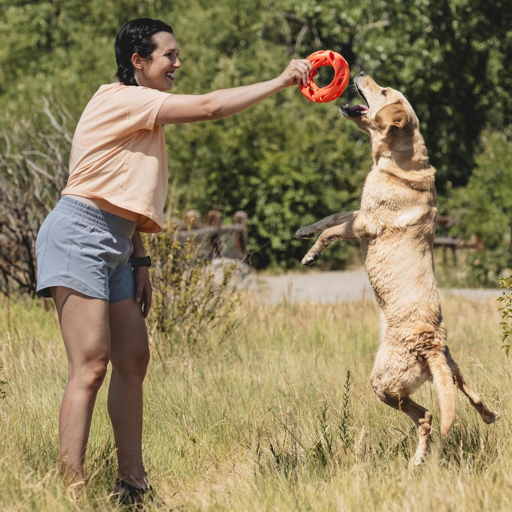 Chuckit! Air Fetch Wheel rolling on ground for chase action
