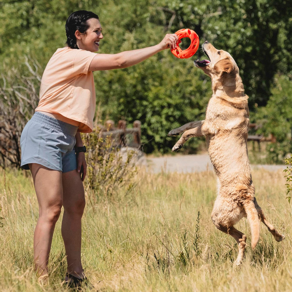 Chuckit! Air Fetch Wheel rolling on ground for chase action