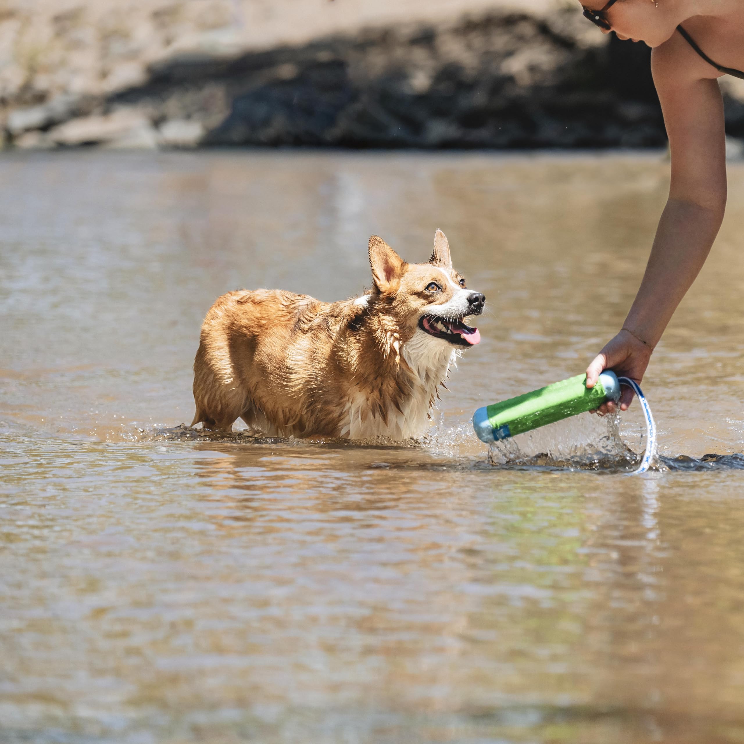 El Chuckit! Amphibious Bumper colores brillantes facilita el seguimiento.