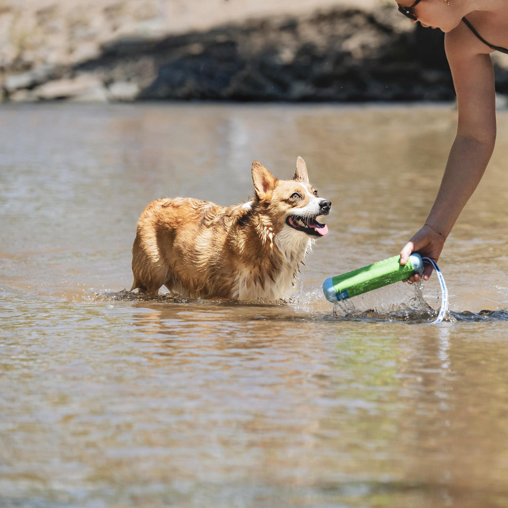 El Chuckit! Amphibious Bumper colores brillantes facilita el seguimiento.