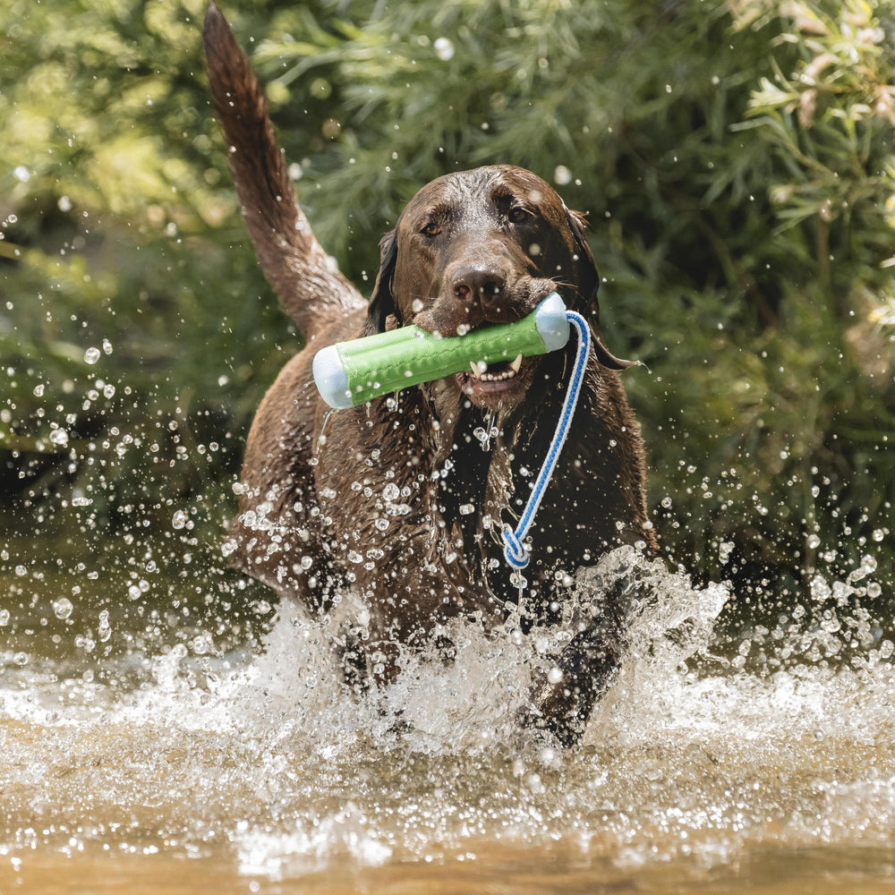 Chuckit! Amphibious Bumper exterior suave de nylon para atrapar sin dolor.