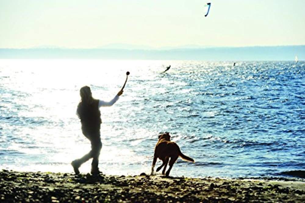 Rugged outdoor design of Chuckit! Sport Launcher stands up to outdoor play.