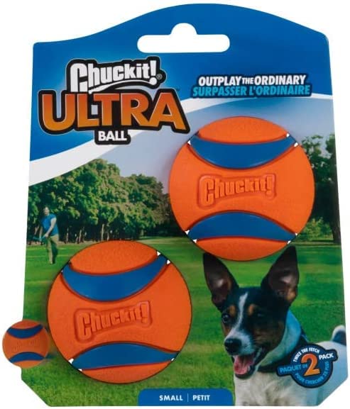 Chuckit! Dog fetch action captures fast paced play.