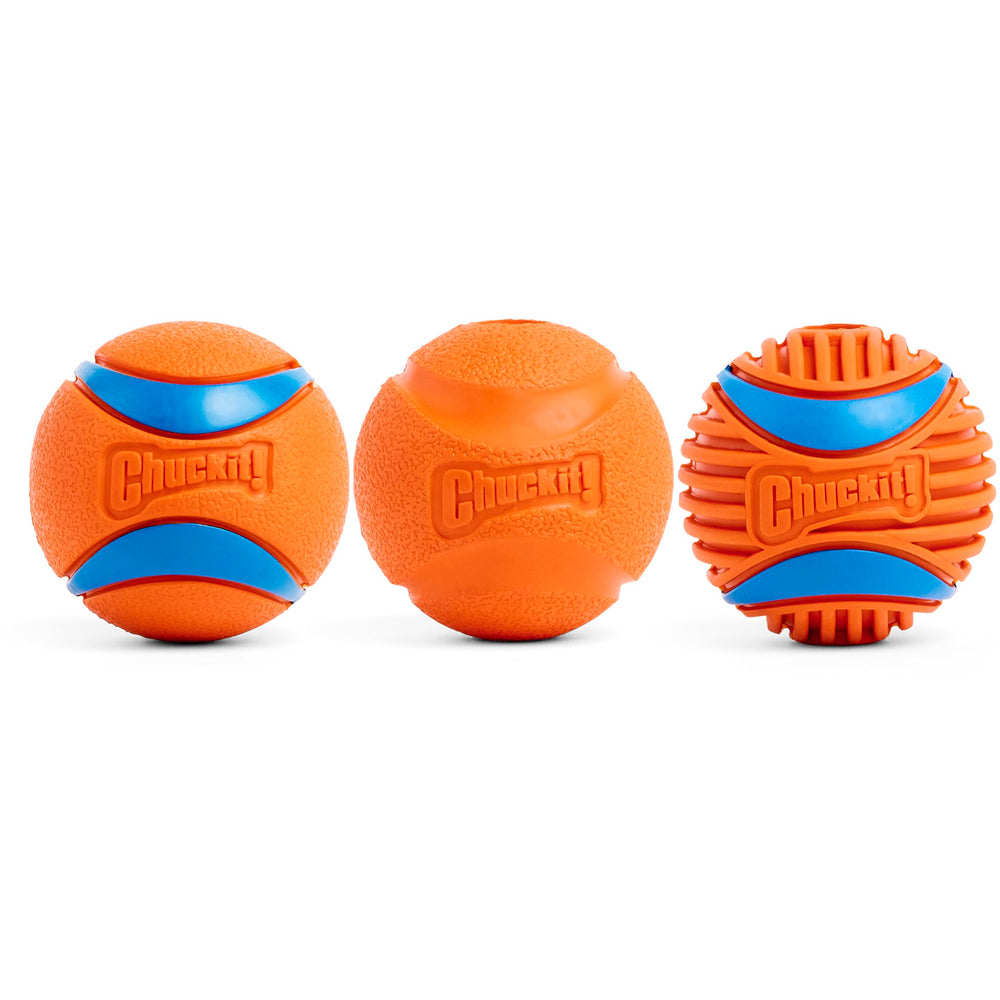 Chuckit Fetch Ball high-bounce action boosts energetic outdoor fetch sessions.