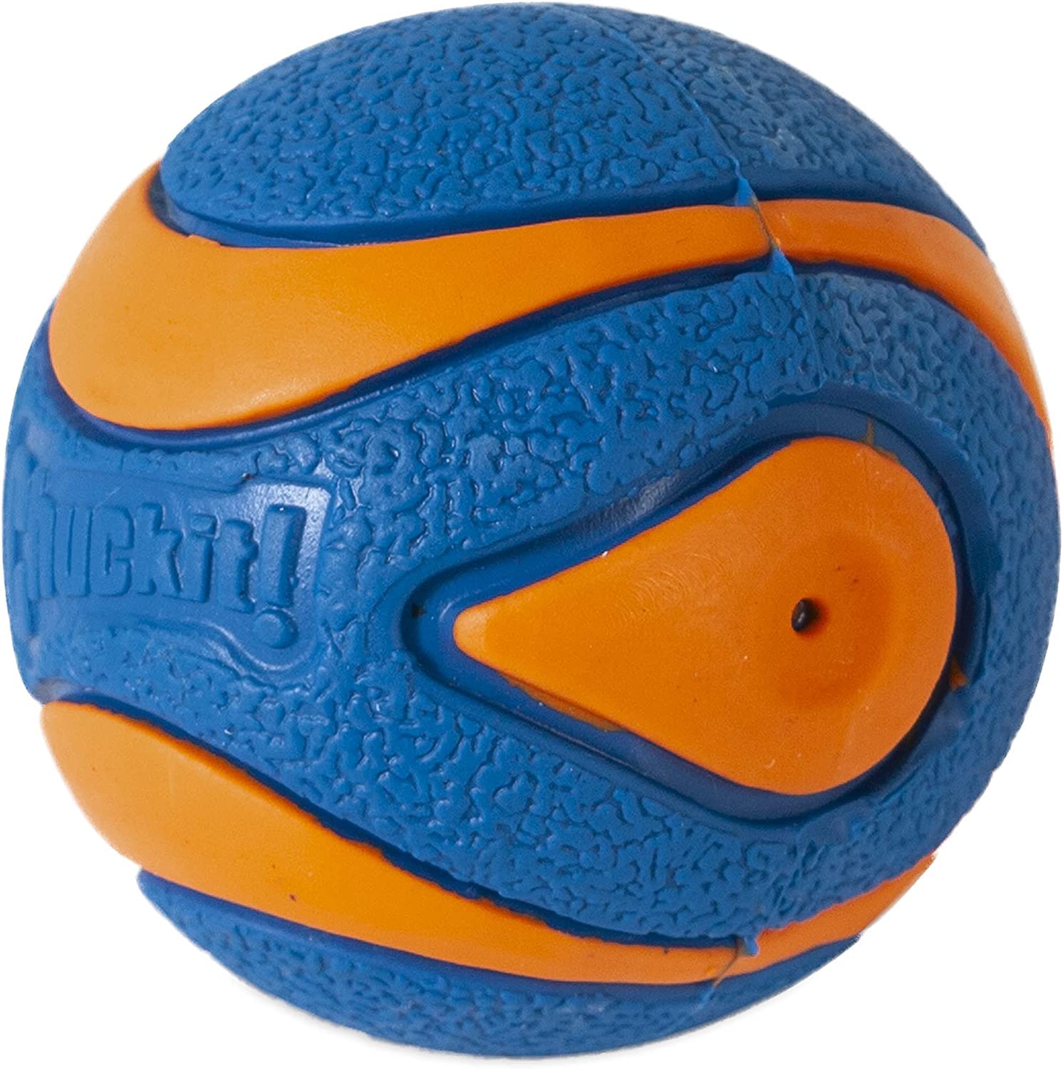 Chuckit! Dog retrieves the ball during a backyard fetch session.