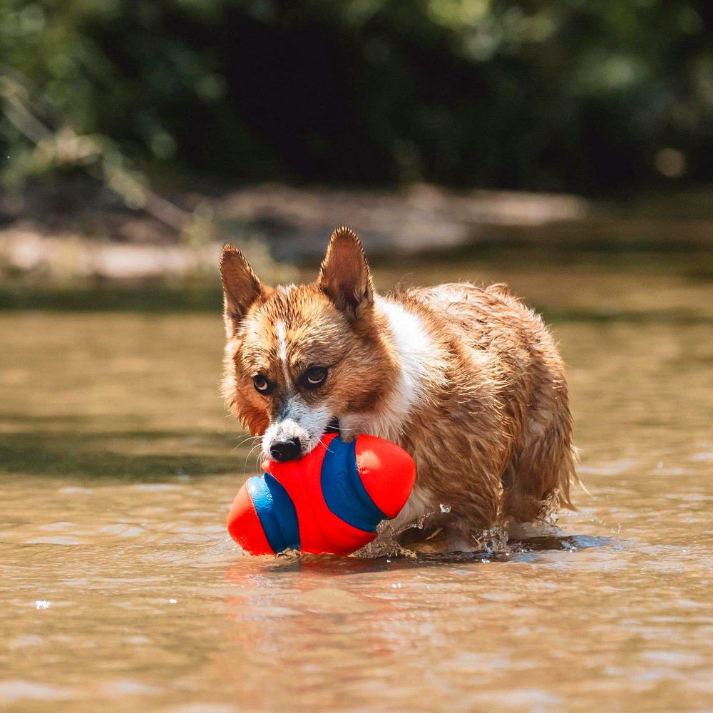 Chuckit! Fumble Fetch high-visibility colors help spotting from a distance.