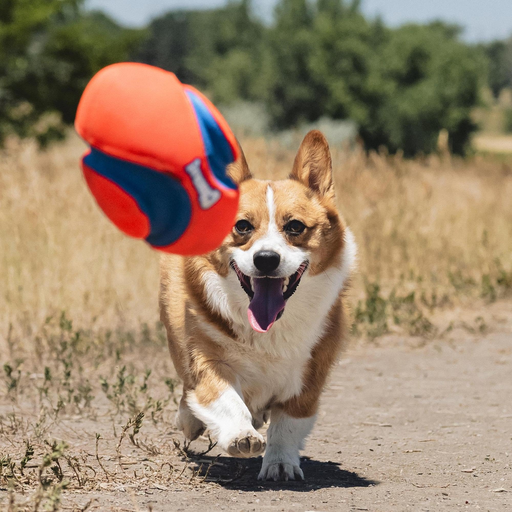 Chuckit! Fumble Fetch suits indoor and outdoor play for versatile fetch sessions.