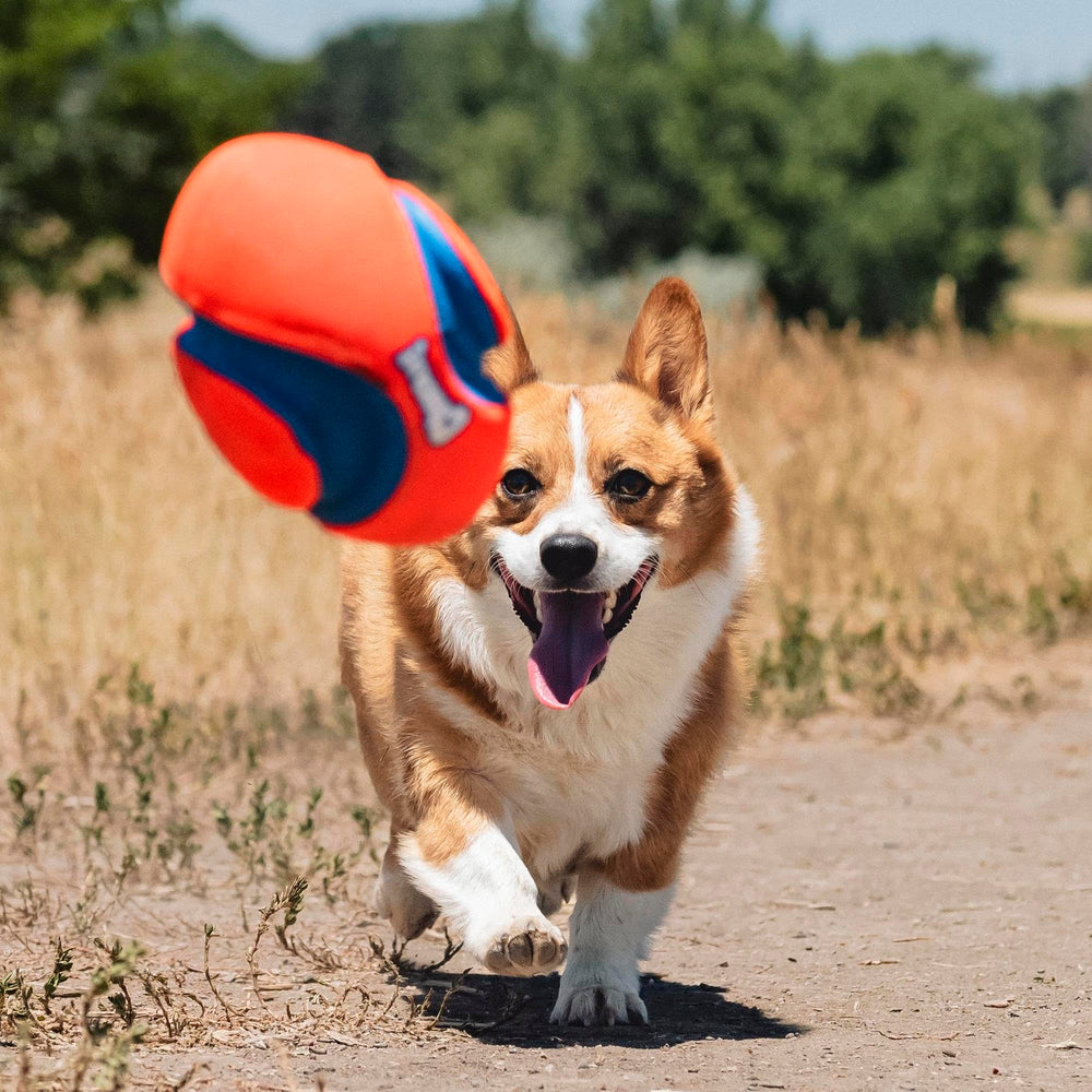 Chuckit! Fumble Fetch suits indoor and outdoor play for versatile fetch sessions.