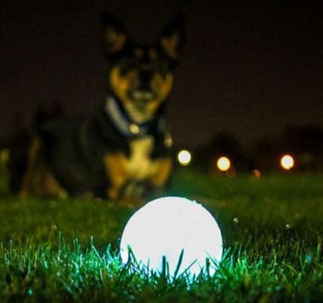 Chuckit! Glow in the Dark Bouncy Ball for dogs dashing after sunset boosts excitement.