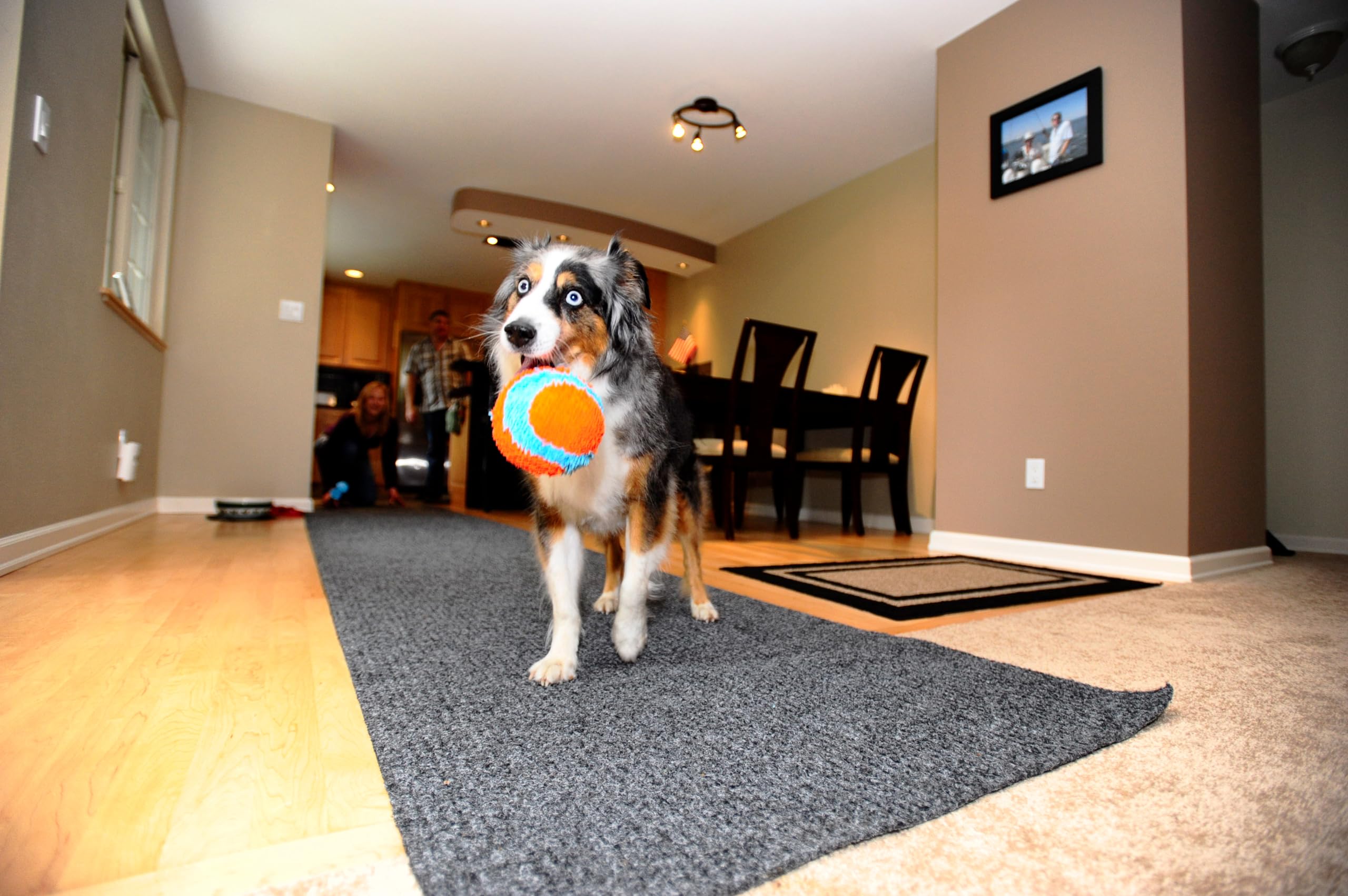 Chuckit! Indoor Fetch Ball durable multilayer construction closeup