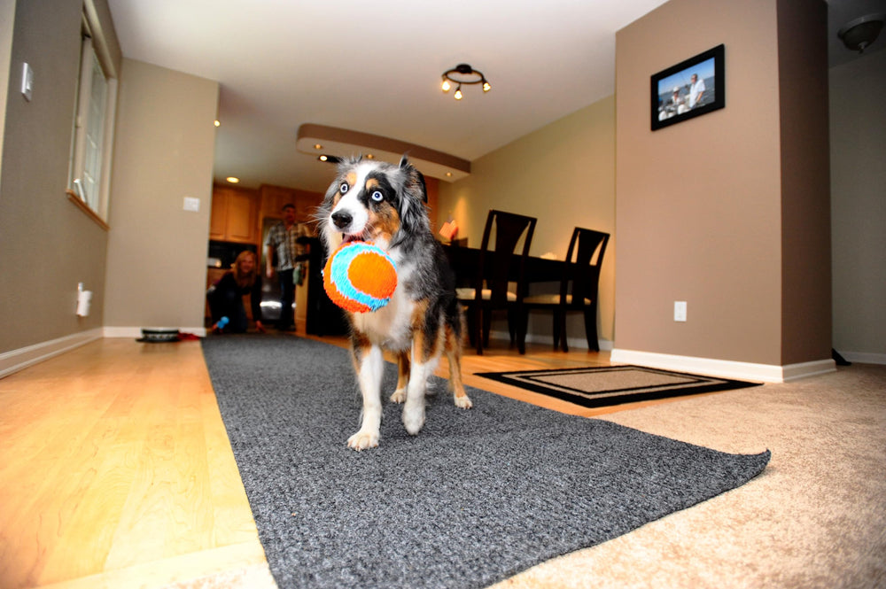 Chuckit! Indoor Fetch Ball durable multilayer construction closeup