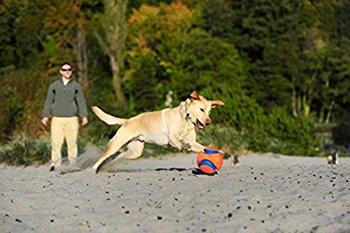 Chuckit Kick Fetch Ball small bright orange blue improves visibility