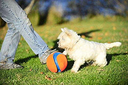 Chuckit Kick Fetch Ball small floating in water for pool and lake play