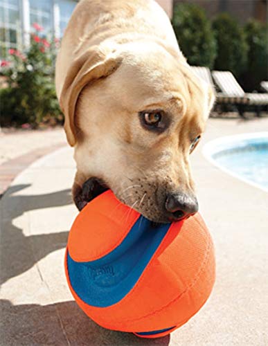 Chuckit Kick Fetch Ball small giggle-fetch variant adds rolling sounds