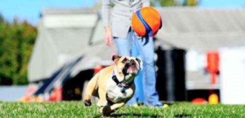 Chuckit Kick Fetch Ball small glow-variant supports glow-in-the-dark play